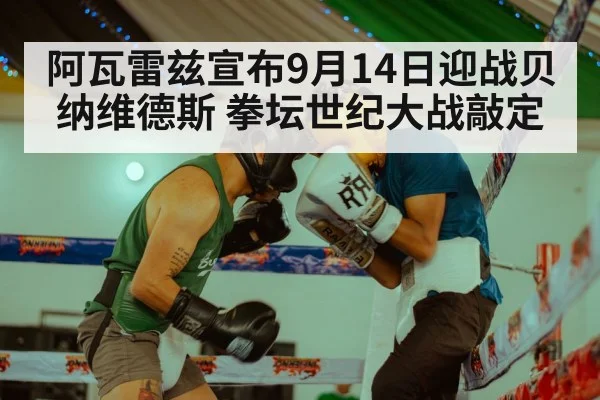 阿瓦雷兹宣布9月14日迎战贝纳维德斯 拳坛世纪大战敲定
