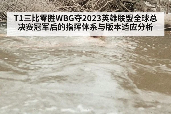 T1三比零胜WBG夺2023英雄联盟全球总决赛冠军后的指挥体系与版本适应分析